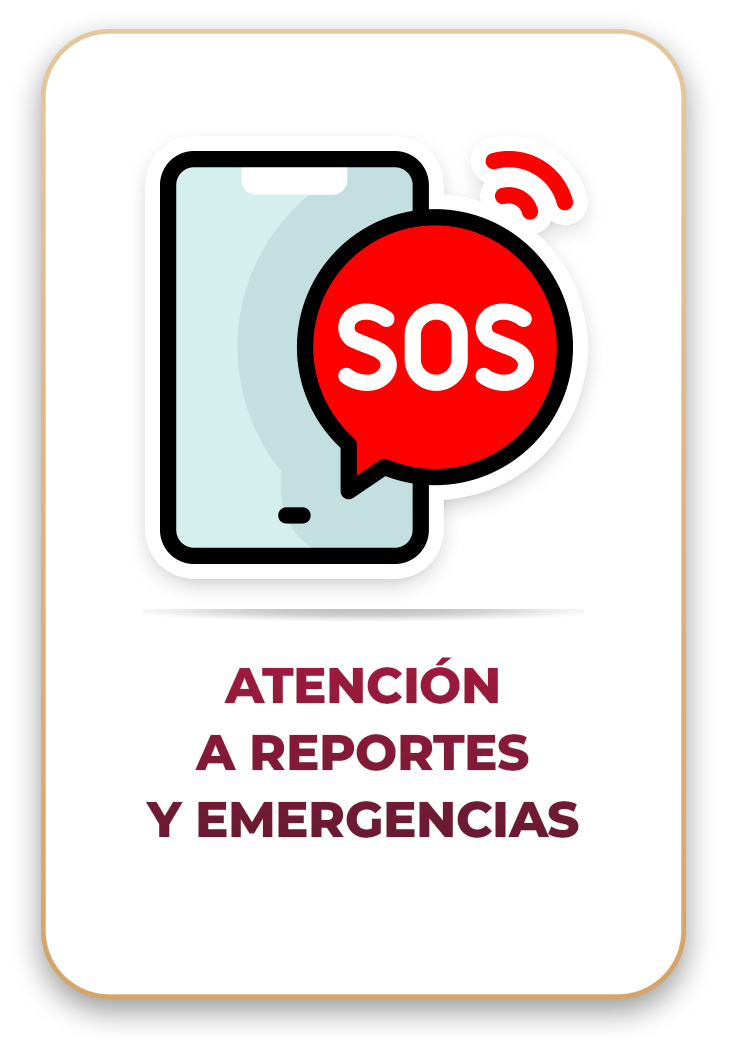 Reportes